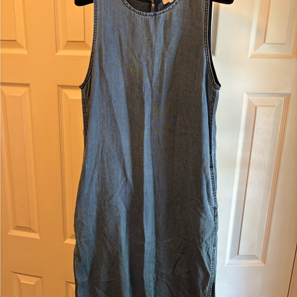 Wilfred Free Denim Dress